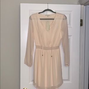 NWT Daniel Rainn sheer mini dress